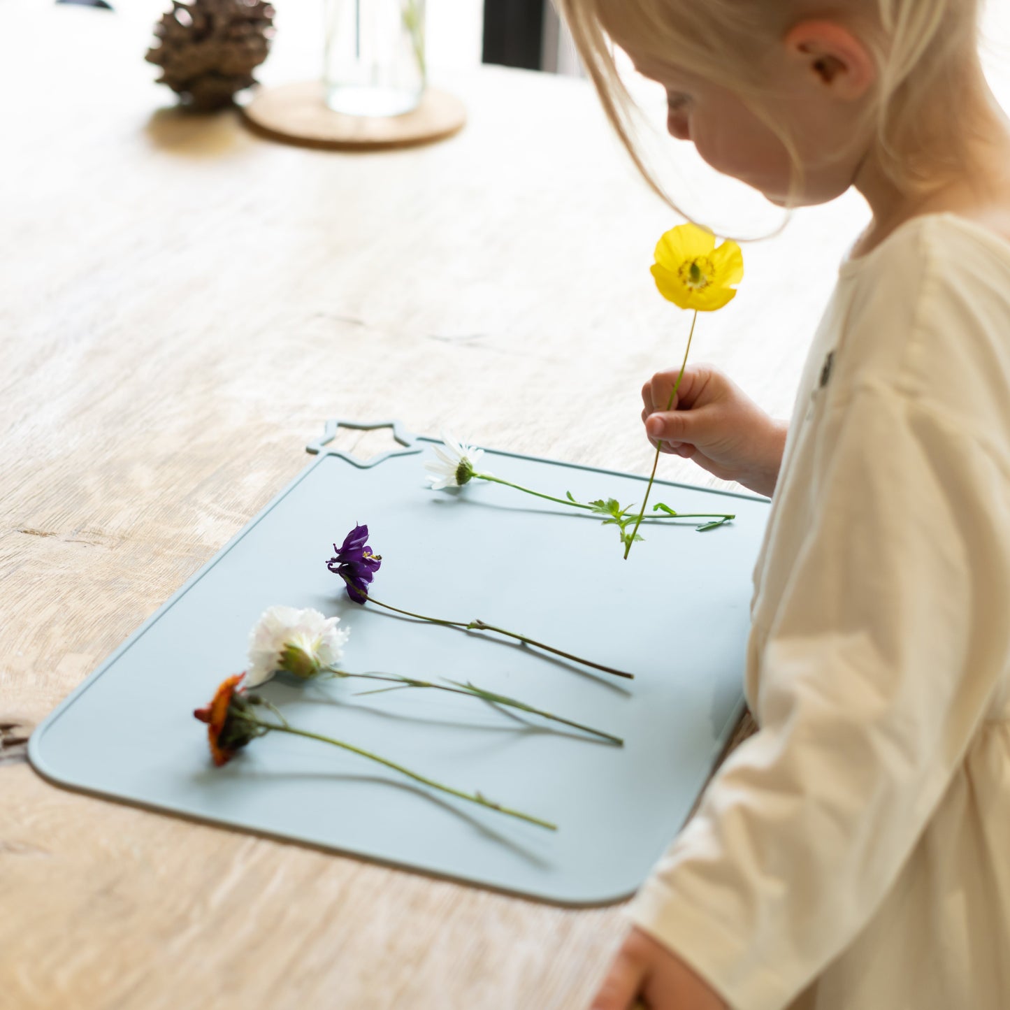 Multi Use Silicone Table Mat Safari Design