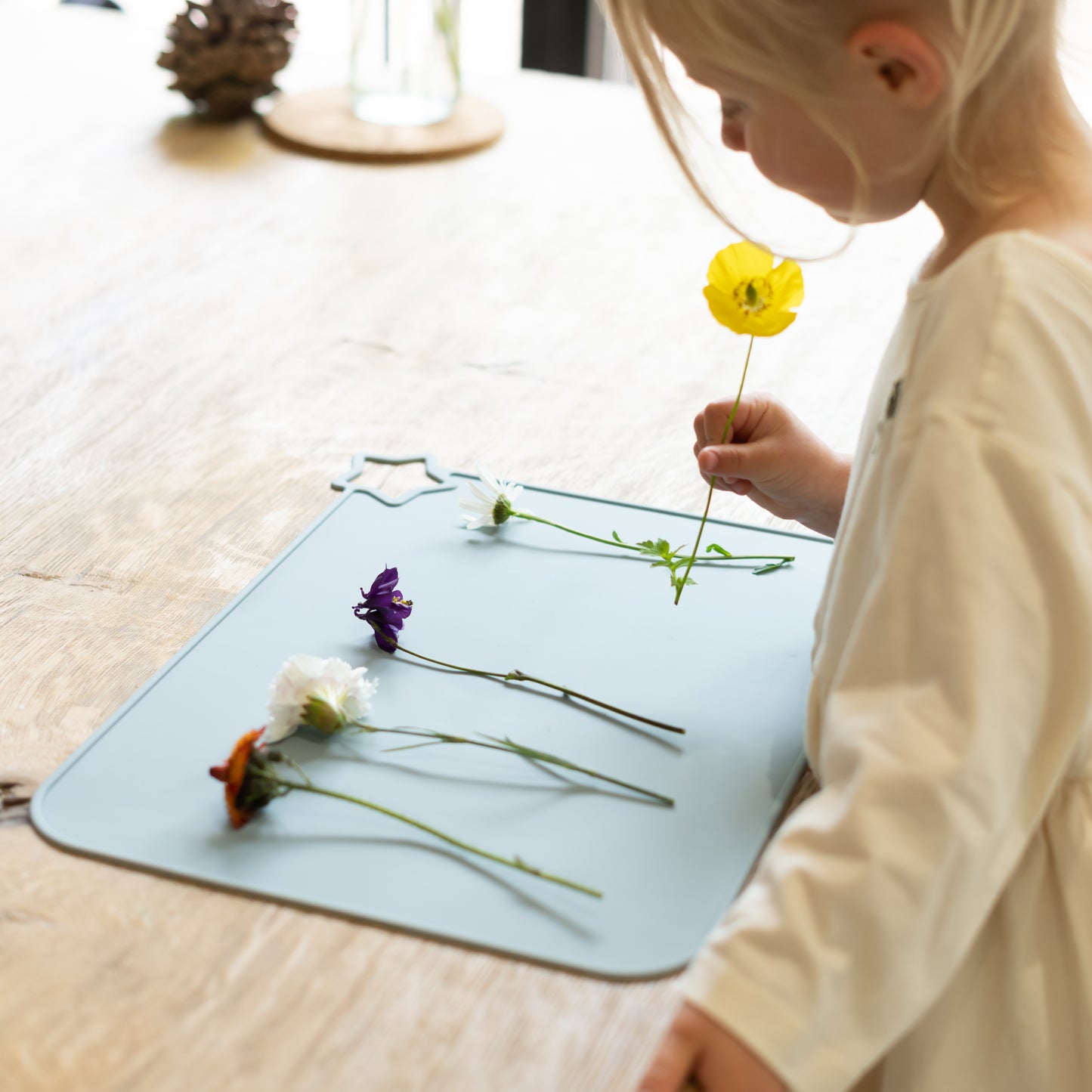 Multi Use Silicone Table Mat